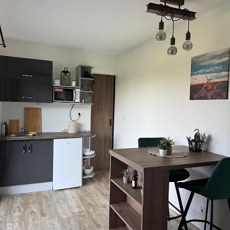 Apartment Garden Tiny House U Boruvkove Farmy *